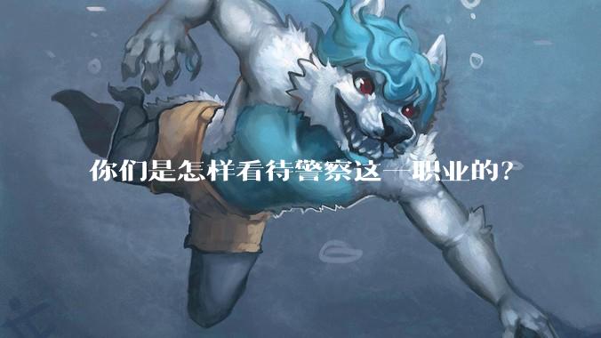 你们是怎样看待警察这一职业的？