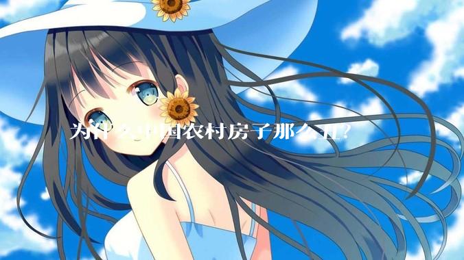 为什么中国农村房子那么丑？