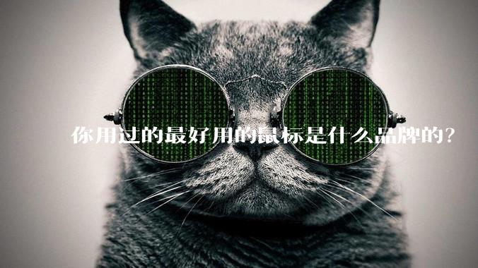 你用过的最好用的鼠标是什么品牌的？