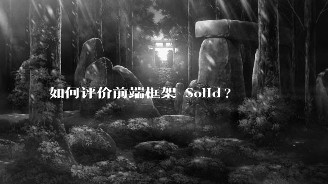 如何评价前端框架 Solid?