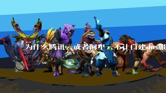 为什么腾讯云或者阿里云不让自建dns服务器?