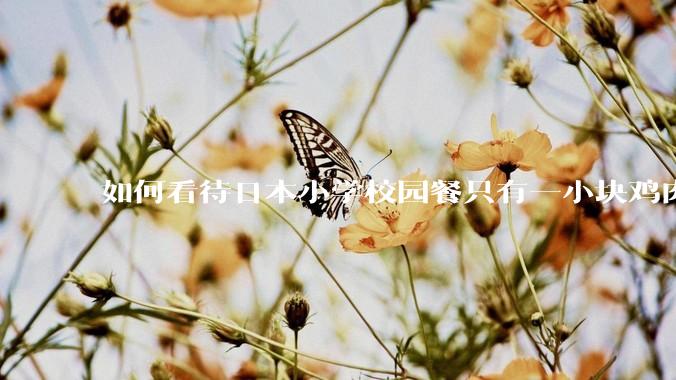 如何看待日本小学校园餐只有一小块鸡肉？